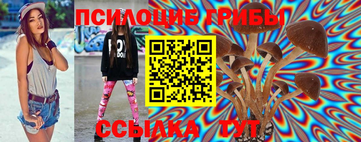 Псилоцибиновые грибы Psilocybine cubensis  продажа наркотиков  Соль-Илецк  Вход с VPN  Галлюциногенные грибы Cubensis 