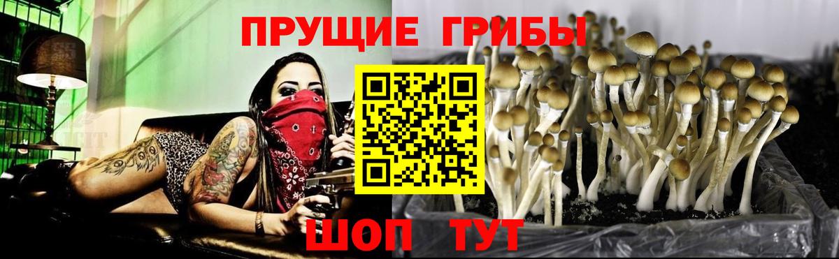 Галлюциногенные грибы мицелий Соль-Илецк